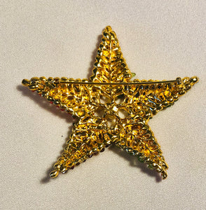 Multi Stone Starfish Brooch