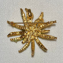 Load image into Gallery viewer, AUTHENTIC SWOBODA STARFISH PIN/PENDANT ~ PERIDOT, GARNET
