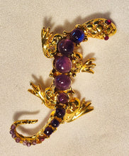 Load image into Gallery viewer, Iguana Amethyst and Ruby Eye Brooch
