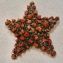 Load image into Gallery viewer, Coral Starfish Brooch
