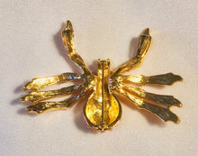 Load image into Gallery viewer, Spider Coral and Emerald Eye Brooch
