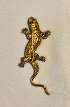 Load image into Gallery viewer, Genuine Ruby and Emerald Lizard Brooch
