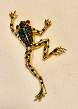 Load image into Gallery viewer, Genuine Sapphire and Ruby Eyes Frog Brooch
