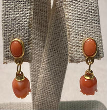 Load image into Gallery viewer, Genuine Coral Earrings
